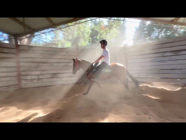 Super Seth x Wintour