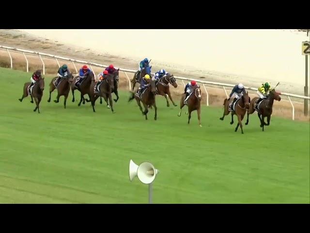 Nunya (Thoroughbred)(Feature)